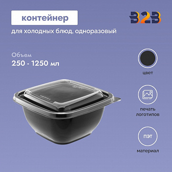Одноразовый контейнер 250-1250мл для холодных блюд квадратный ПЭТ