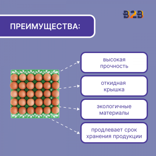Упаковка для куриных яиц многоразовая, 30 ячеек (пластик)